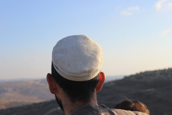⁦לבן - אופוויט חורפי⁩ – תמונה ⁦2⁩
