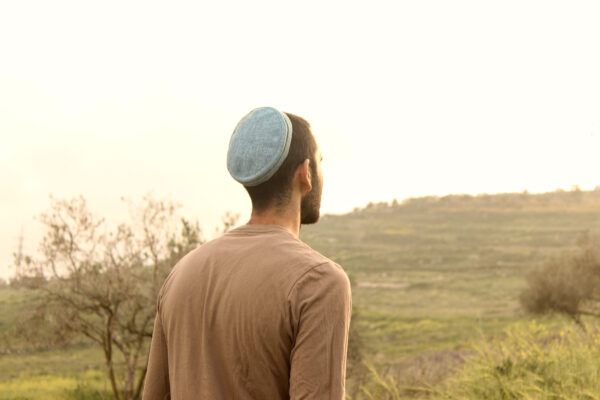 ⁦טורקיז⁩ – תמונה ⁦2⁩