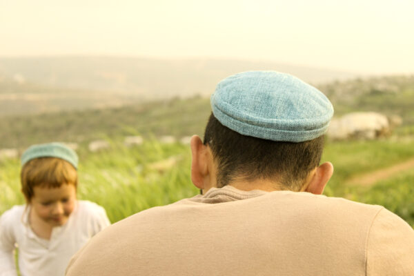 ⁦טורקיז⁩ – תמונה ⁦3⁩
