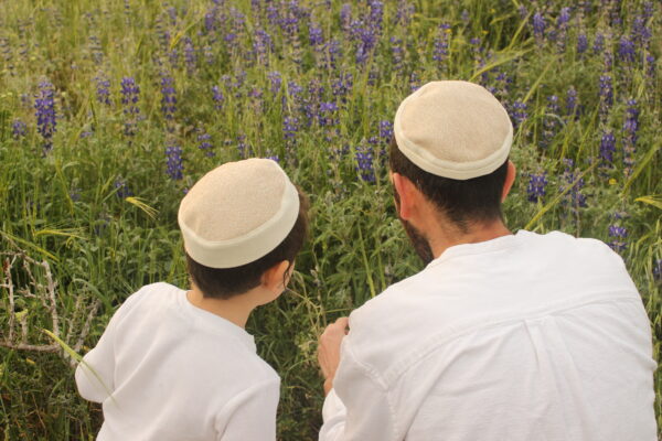⁦לבן מוזהב⁩ – תמונה ⁦6⁩