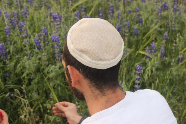 ⁦לבן מוזהב⁩ – תמונה ⁦5⁩