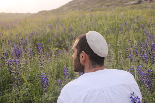 ⁦פשתן⁩ – תמונה ⁦3⁩