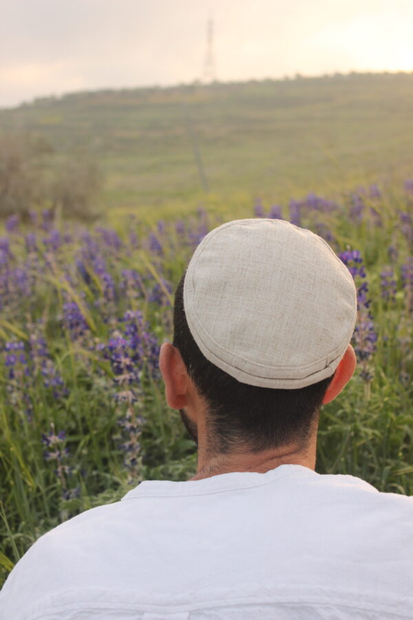 ⁦פשתן⁩ – תמונה ⁦4⁩