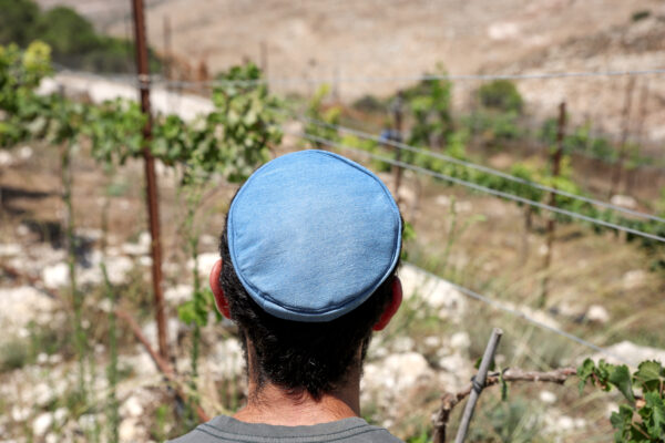 ⁦כחול ג'ינס⁩ – תמונה ⁦3⁩