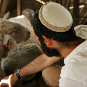 יוטה-לבן