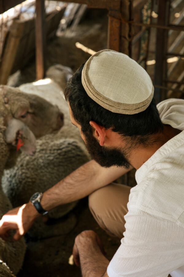 יוטה-לבן
