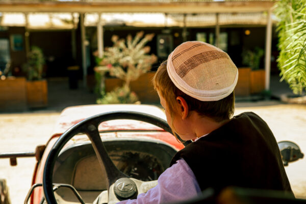 ⁦פסים מוזהב⁩ – תמונה ⁦3⁩