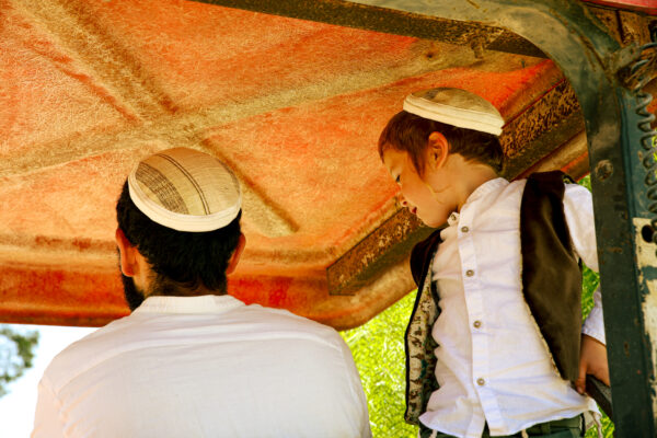 ⁦פסים מוזהב⁩ – תמונה ⁦2⁩