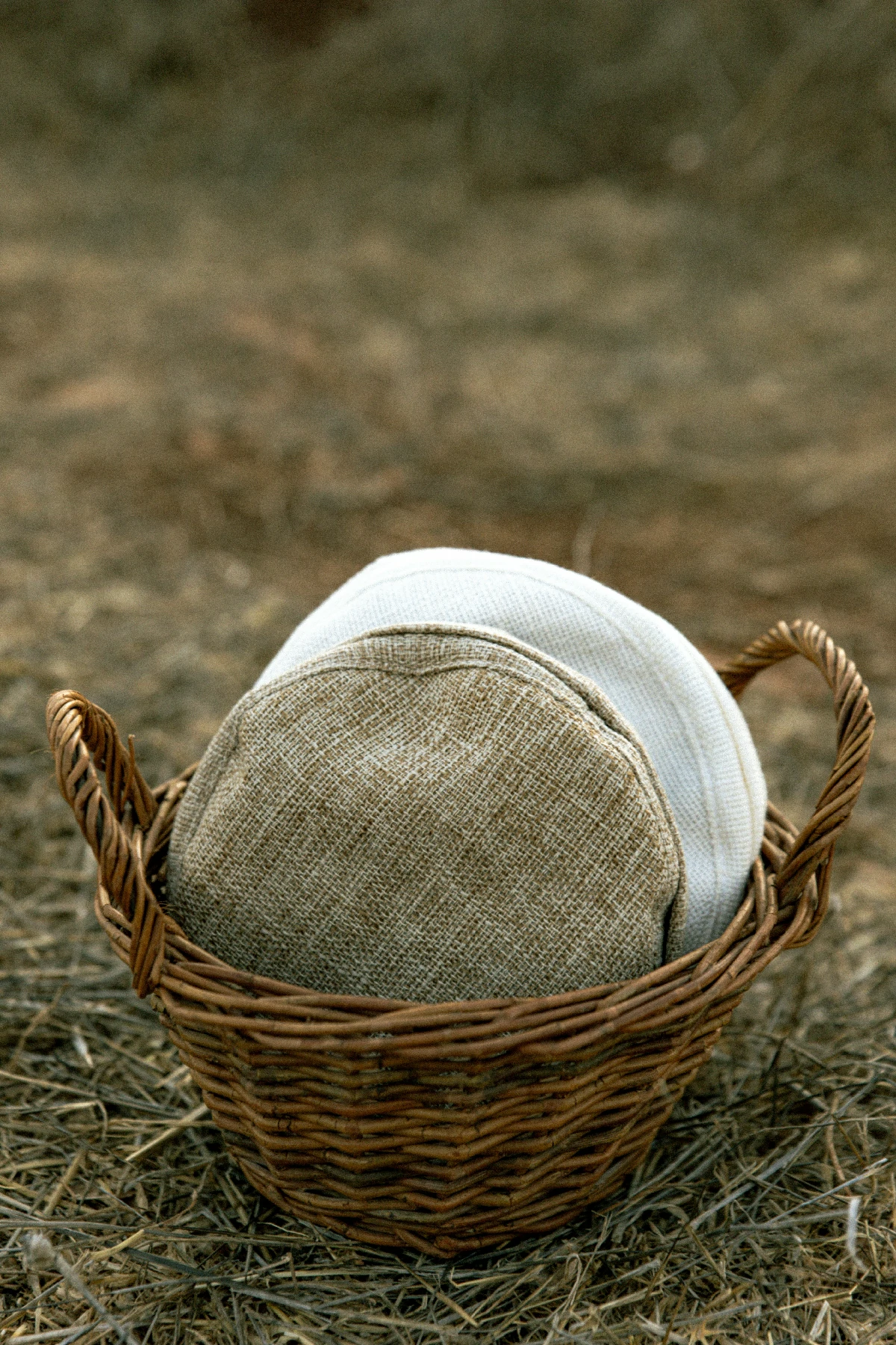 יוטה